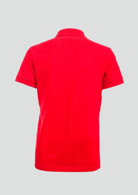 Купить футболка-поло пике мужская «армия россии» красная в интернет-магазине ArmRus по выгодной цене. - изображение 2