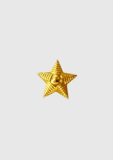 Звезда 20 мм золотого цвета: купить в интернет-магазине «Армия России
